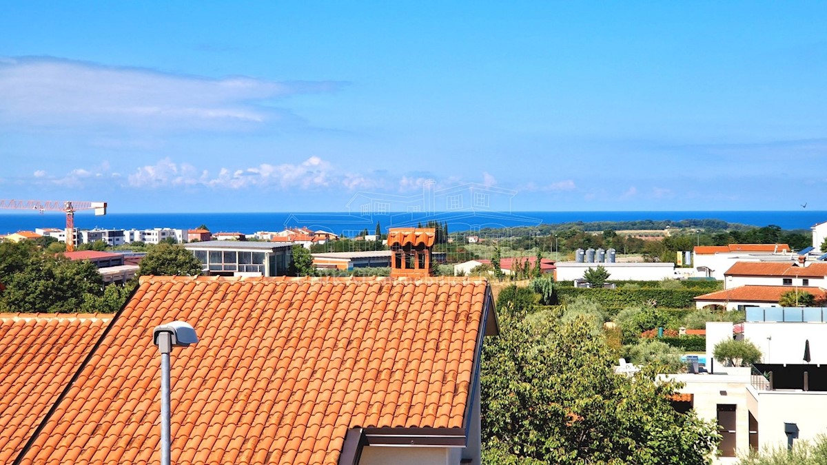NOVIGRAD